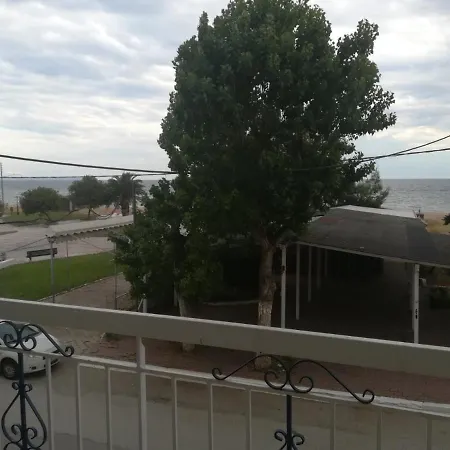 Zorbas Sand * Flogita